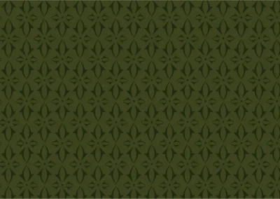Brand Style Guide 14 Pattern-Bold-Canopy Green