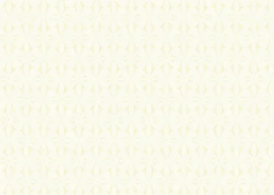 Brand Style Guide 17 Pattern-Bold-Morning Mist