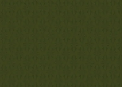 Brand Style Guide 19 Pattern-Soft-Canopy Green
