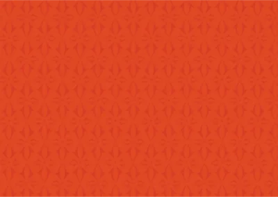 Brand Style Guide 21 Pattern-Soft-Sunset Orange